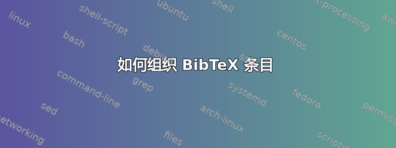 如何组织 BibTeX 条目