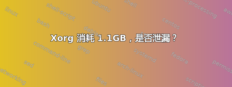 Xorg 消耗 1.1GB，是否泄漏？