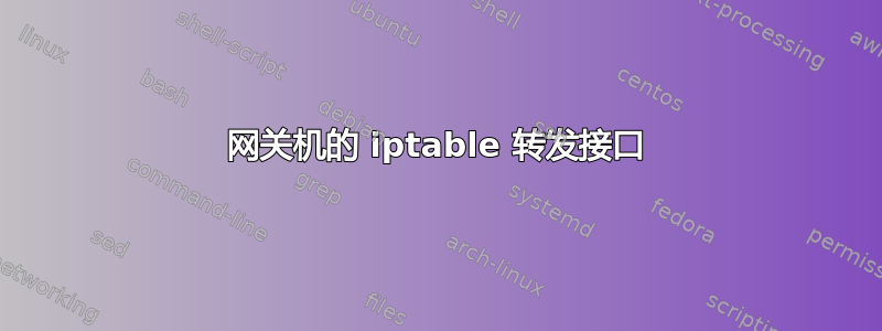 网关机的 iptable 转发接口