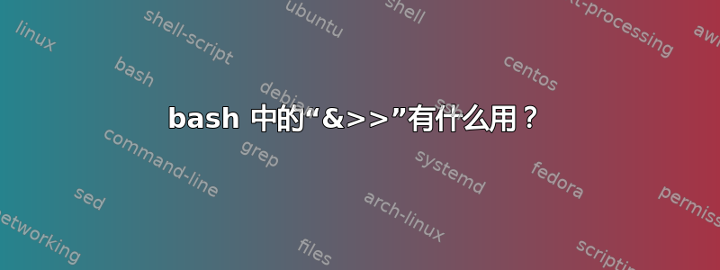 bash 中的“&>>”有什么用？