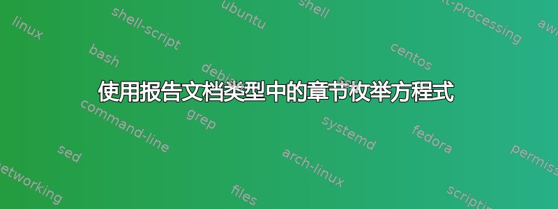 使用报告文档类型中的章节枚举方程式