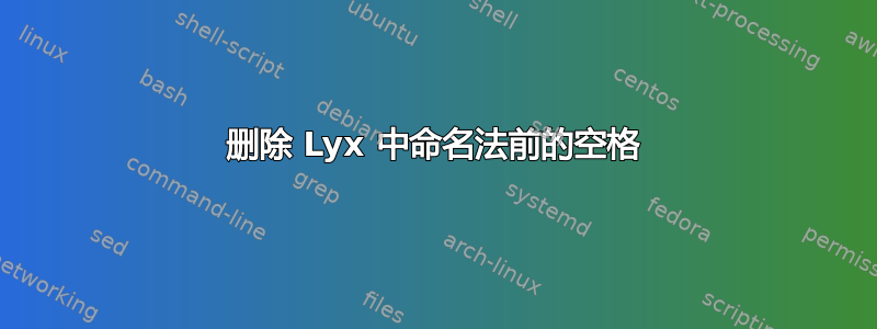 删除 Lyx 中命名法前的空格