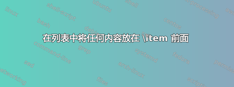 在列表中将任何内容放在 \item 前面