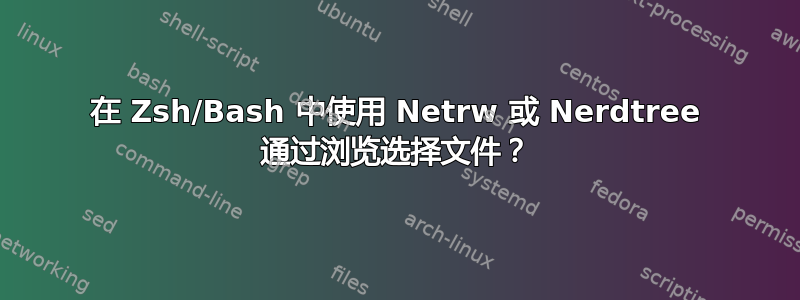 在 Zsh/Bash 中使用 Netrw 或 Nerdtree 通过浏览选择文件？