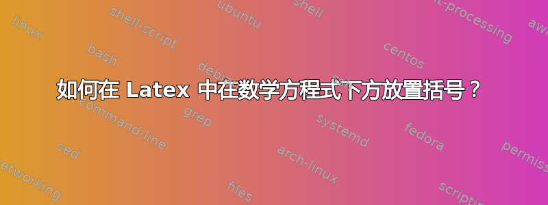 如何在 Latex 中在数学方程式下方放置括号？