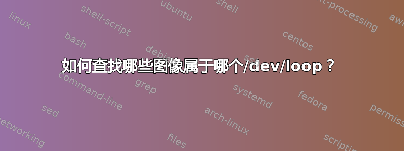 如何查找哪些图像属于哪个/dev/loop？