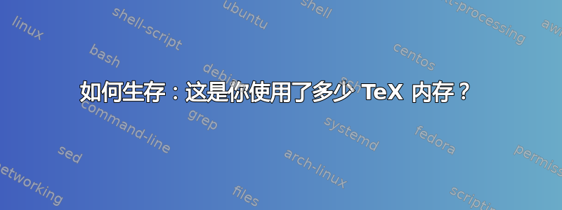 如何生存：这是你使用了多少 TeX 内存？