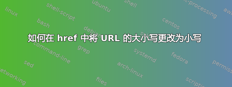 如何在 href 中将 URL 的大小写更改为小写