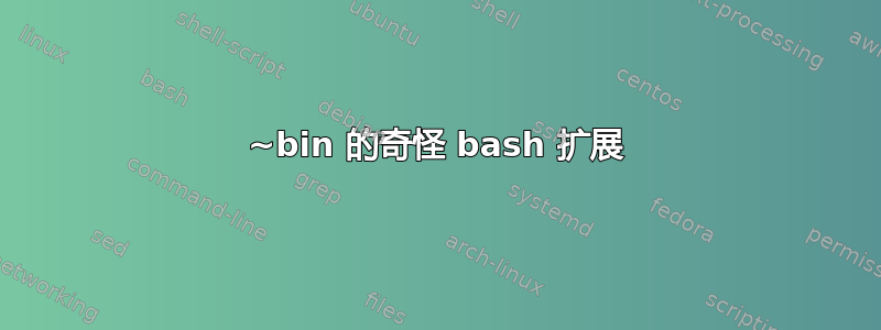 ~bin 的奇怪 bash 扩展