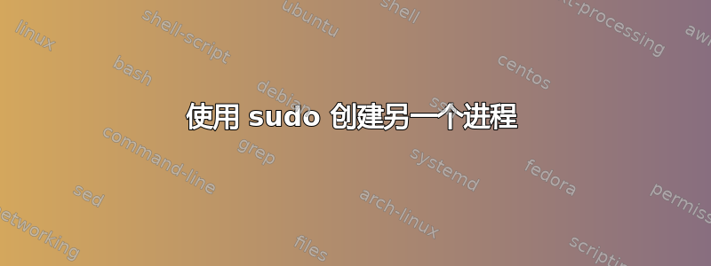 使用 sudo 创建另一个进程