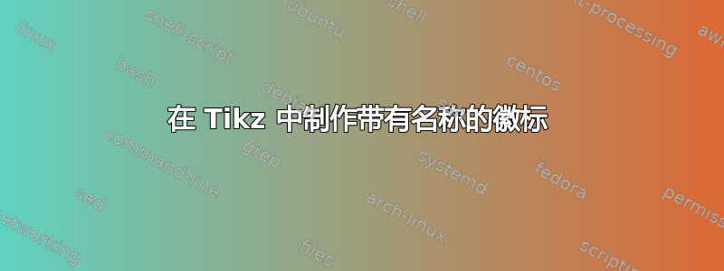 在 Tikz 中制作带有名称的徽标