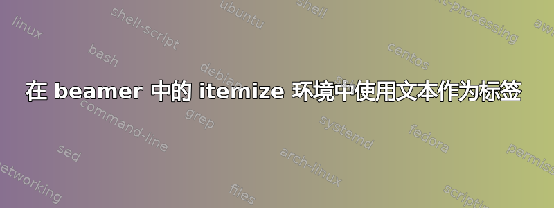 在 beamer 中的 itemize 环境中使用文本作为标签