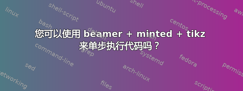 您可以使用 beamer + minted + tikz 来单步执行代码吗？