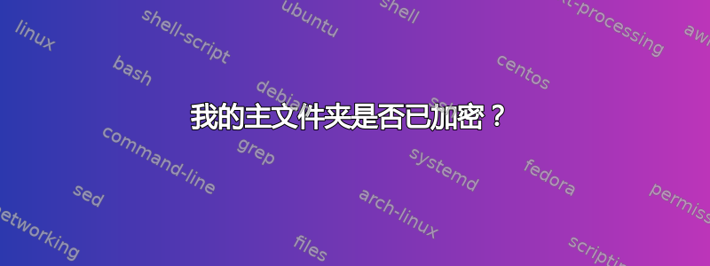 我的主文件夹是否已加密？