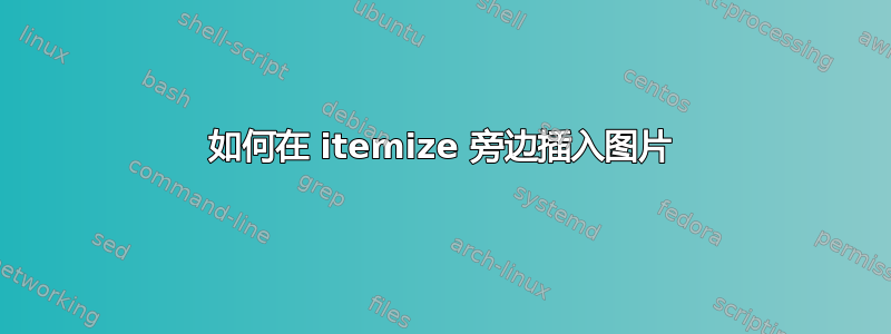 如何在 itemize 旁边插入图片