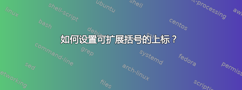 如何设置可扩展括号的上标？