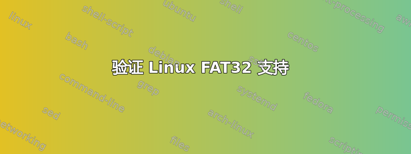 验证 Linux FAT32 支持 