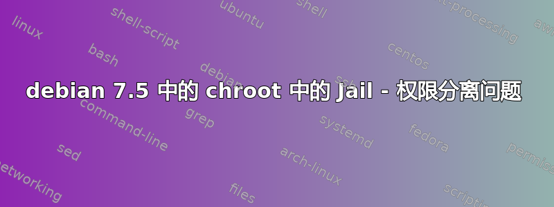 debian 7.5 中的 chroot 中的 Jail - 权限分离问题