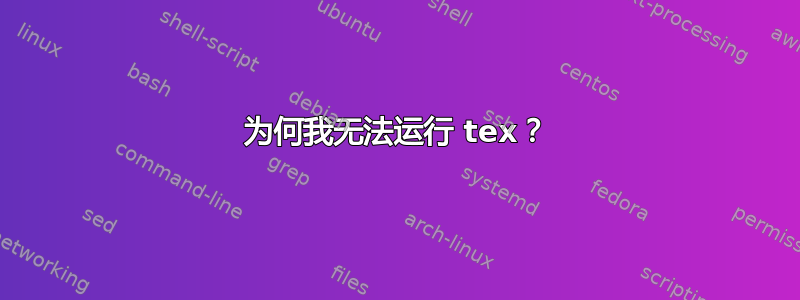 为何我无法运行 tex？