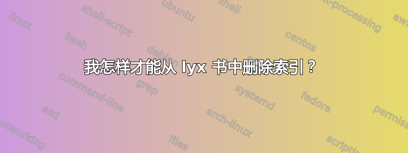 我怎样才能从 lyx 书中删除索引？