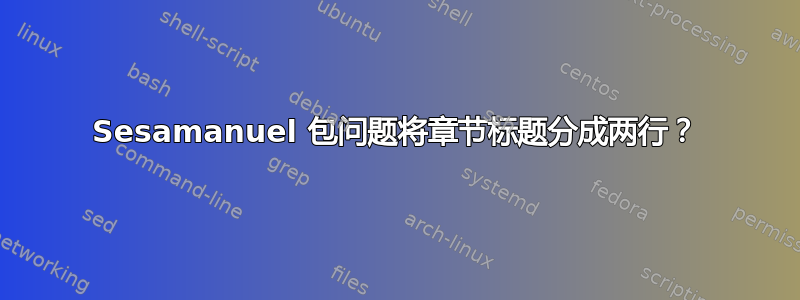 Sesamanuel 包问题将章节标题分成两行？