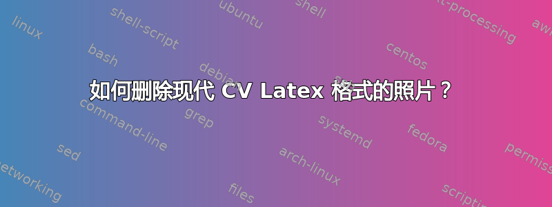 如何删除现代 CV Latex 格式的照片？