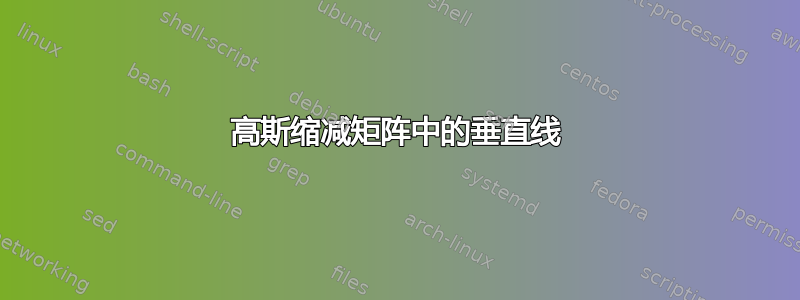 高斯缩减矩阵中的垂直线