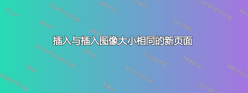 插入与插入图像大小相同的新页面