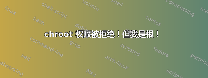 chroot 权限被拒绝！但我是根！