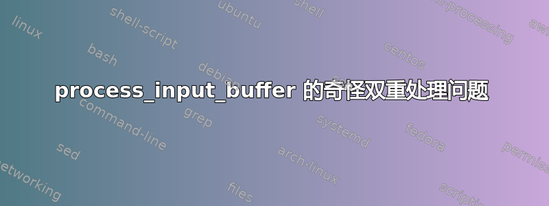 process_input_buffer 的奇怪双重处理问题