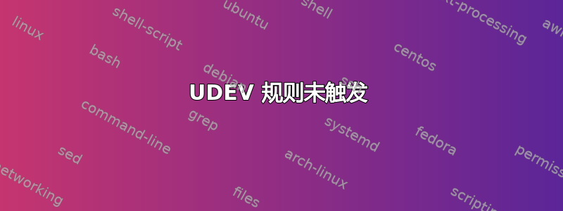 UDEV 规则未触发