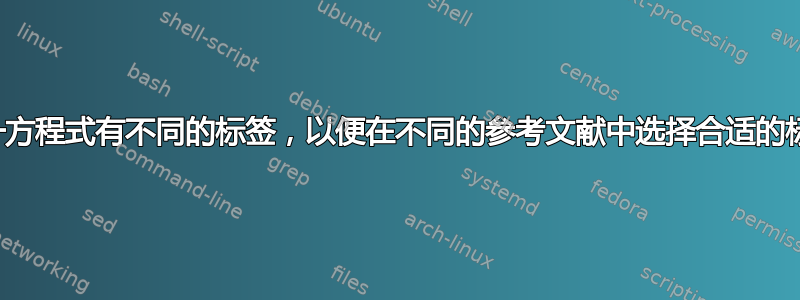 同一方程式有不同的标签，以便在不同的参考文献中选择合适的标签