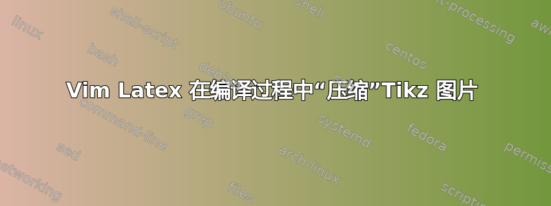 Vim Latex 在编译过程中“压缩”Tikz 图片