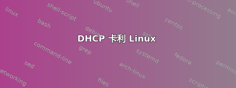 DHCP 卡利 Linux