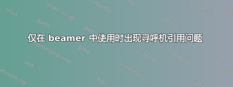 仅在 beamer 中使用时出现寻呼机引用问题