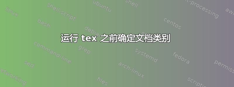 运行 tex 之前确定文档类别