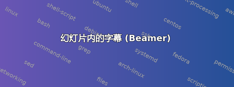 幻灯片内的字幕 (Beamer)