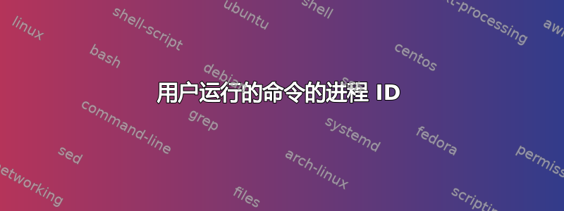 用户运行的命令的进程 ID