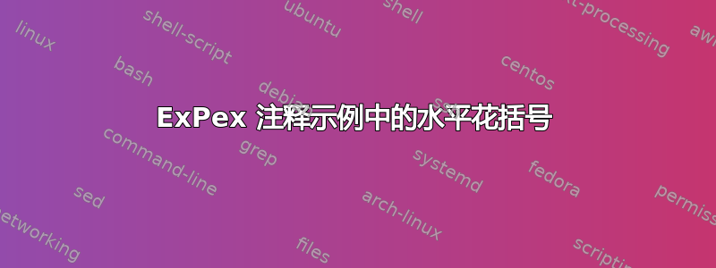 ExPex 注释示例中的水平花括号