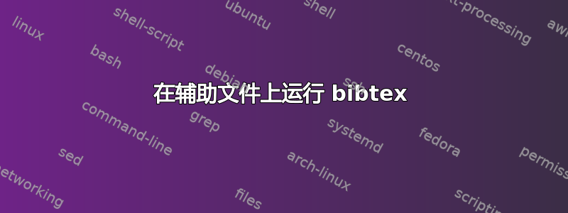 在辅助文件上运行 bibtex