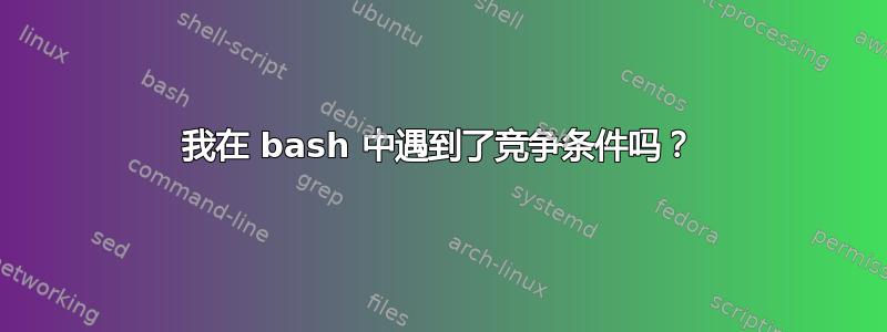 我在 bash 中遇到了竞争条件吗？