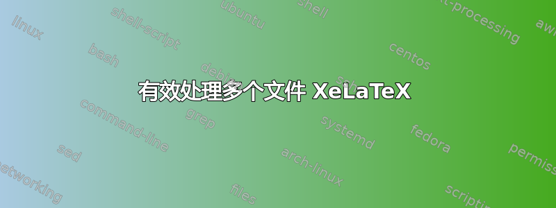 有效处理多个文件 XeLaTeX