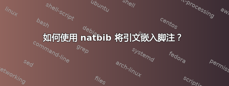 如何使用 natbib 将引文嵌入脚注？