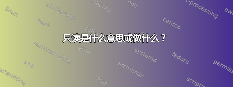 只读是什么意思或做什么？