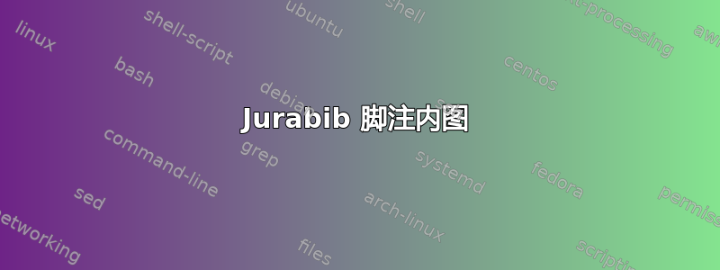 Jurabib 脚注内图