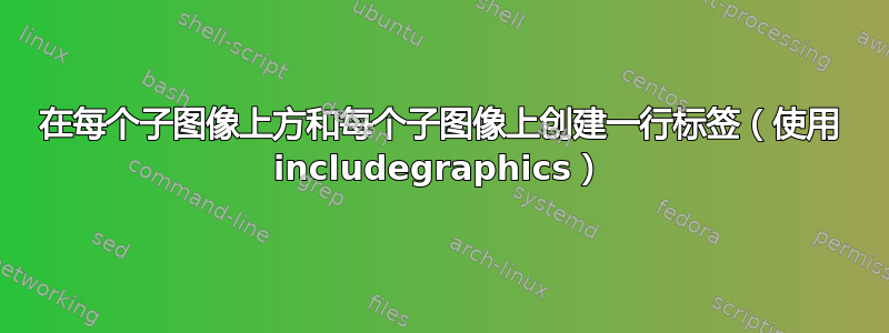 在每个子图像上方和每个子图像上创建一行标签（使用 includegraphics）