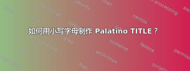 如何用小写字母制作 Palatino TITLE？