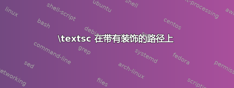 \textsc 在带有装饰的路径上