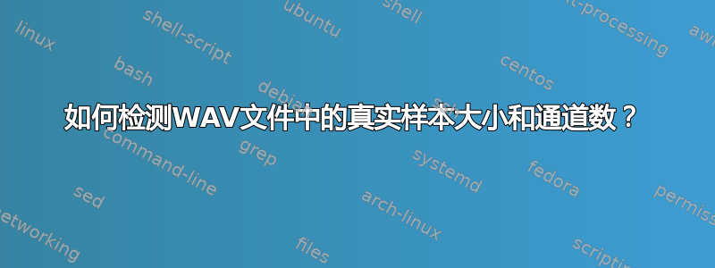 如何检测WAV文件中的真实样本大小和通道数？