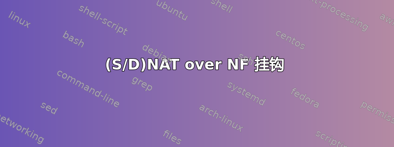 (S/D)NAT over NF 挂钩